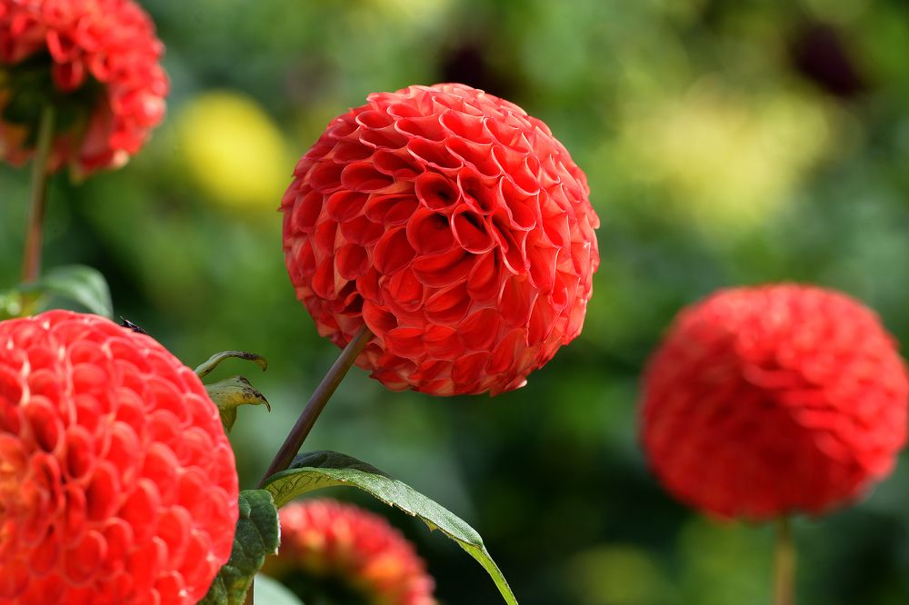 Photograph by Intars Supins