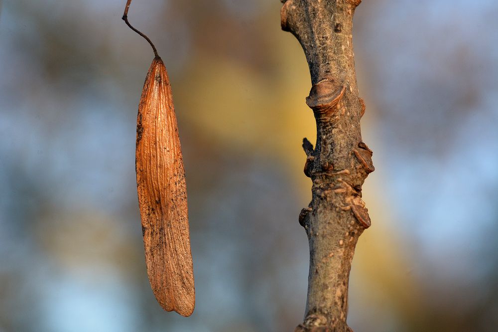 Photograph by Intars Supins