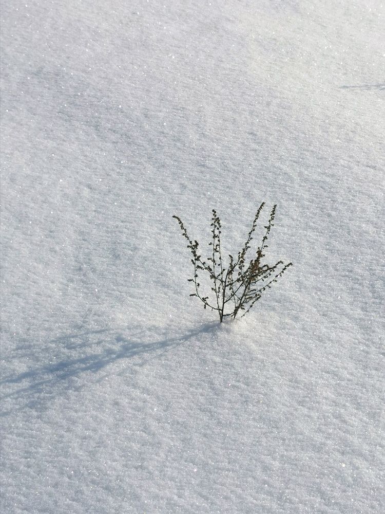 Photograph by Наталия Питолина