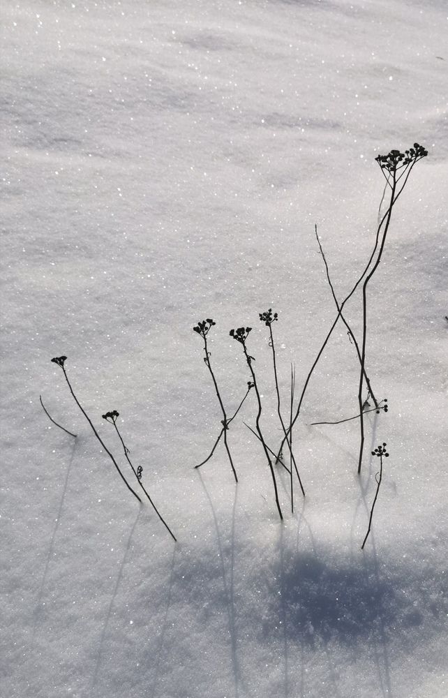 Photograph by Наталия Питолина