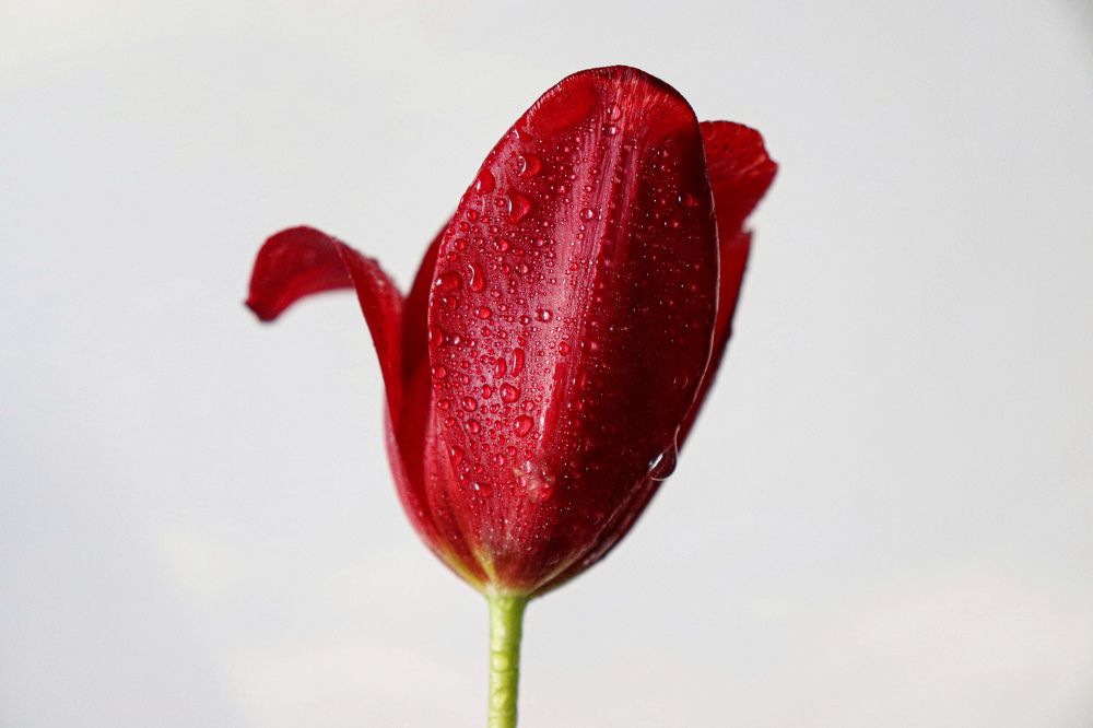 Photograph by Светлана Беспалко