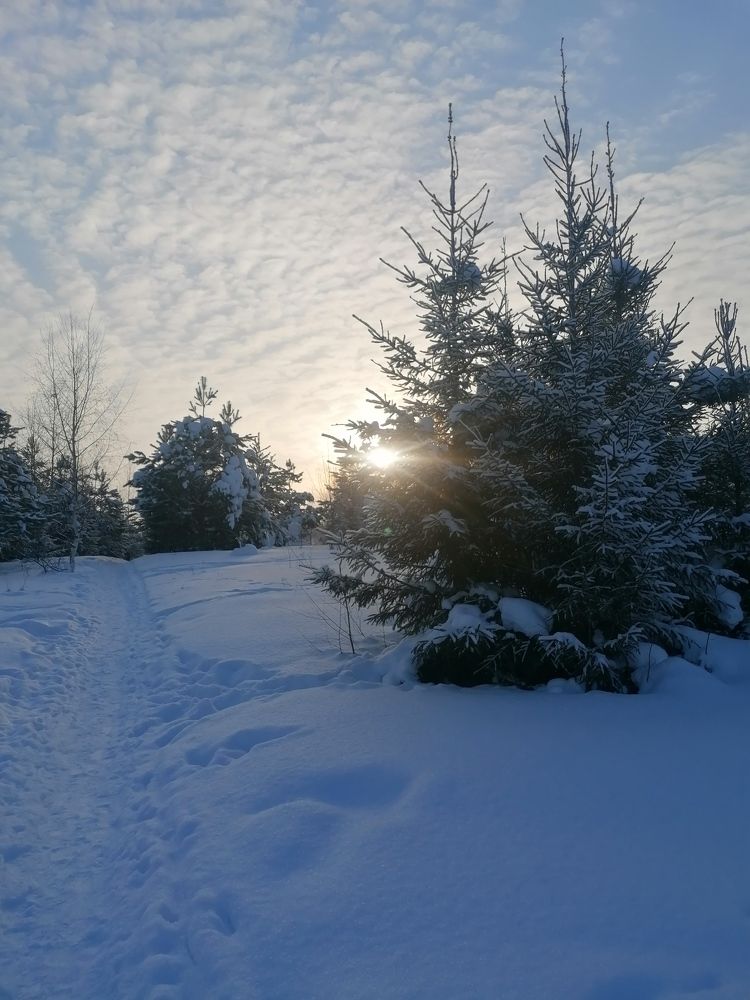 Photograph by Олег Россохин