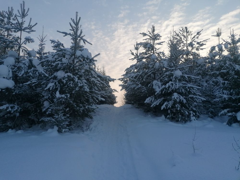 Photograph by Олег Россохин