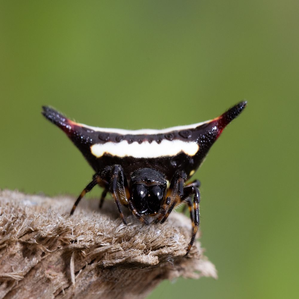 Photograph by vinay abraham mathew