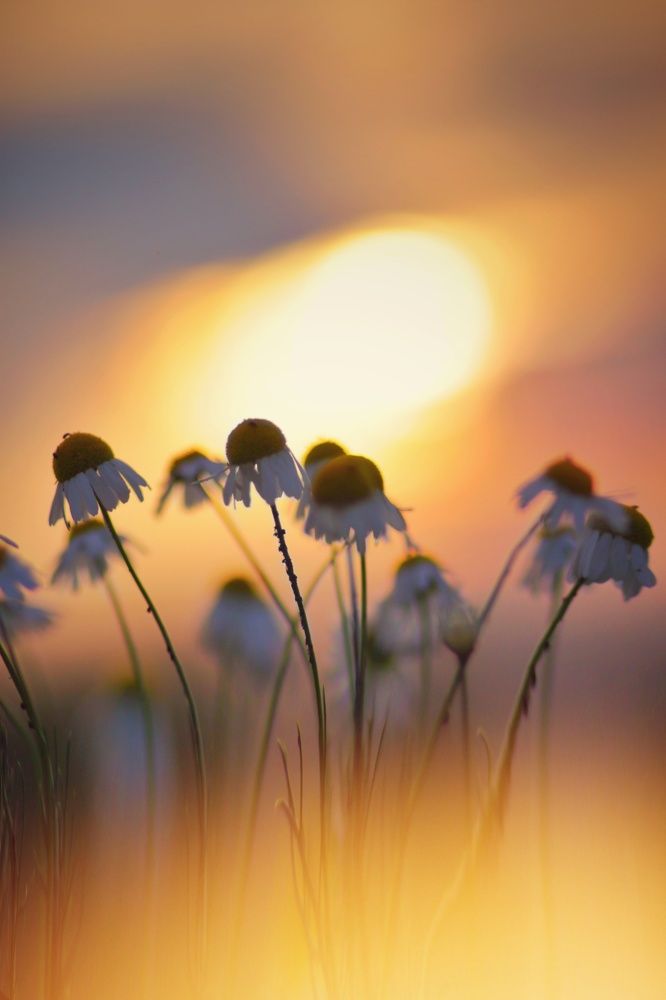 Photograph by 