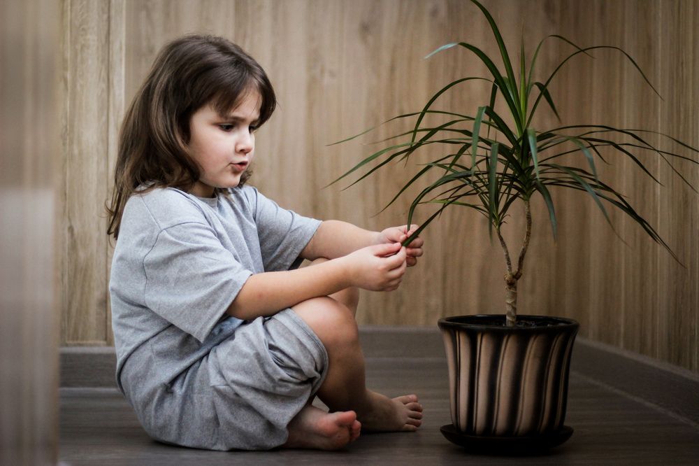 Фотография автора Алла