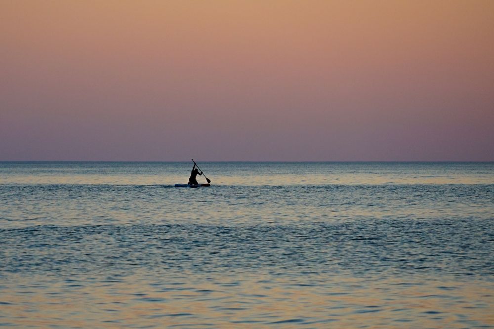 Перевозчик
