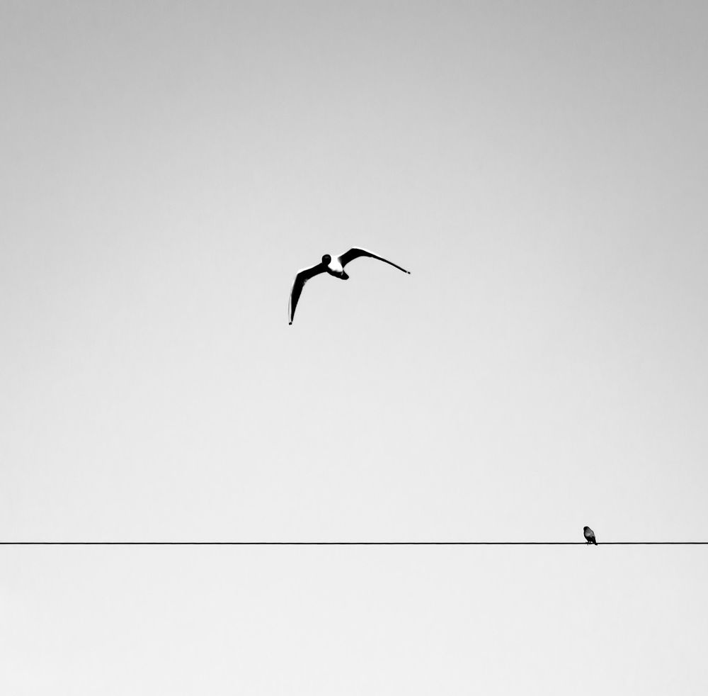 Photograph by Николай Кокшанов