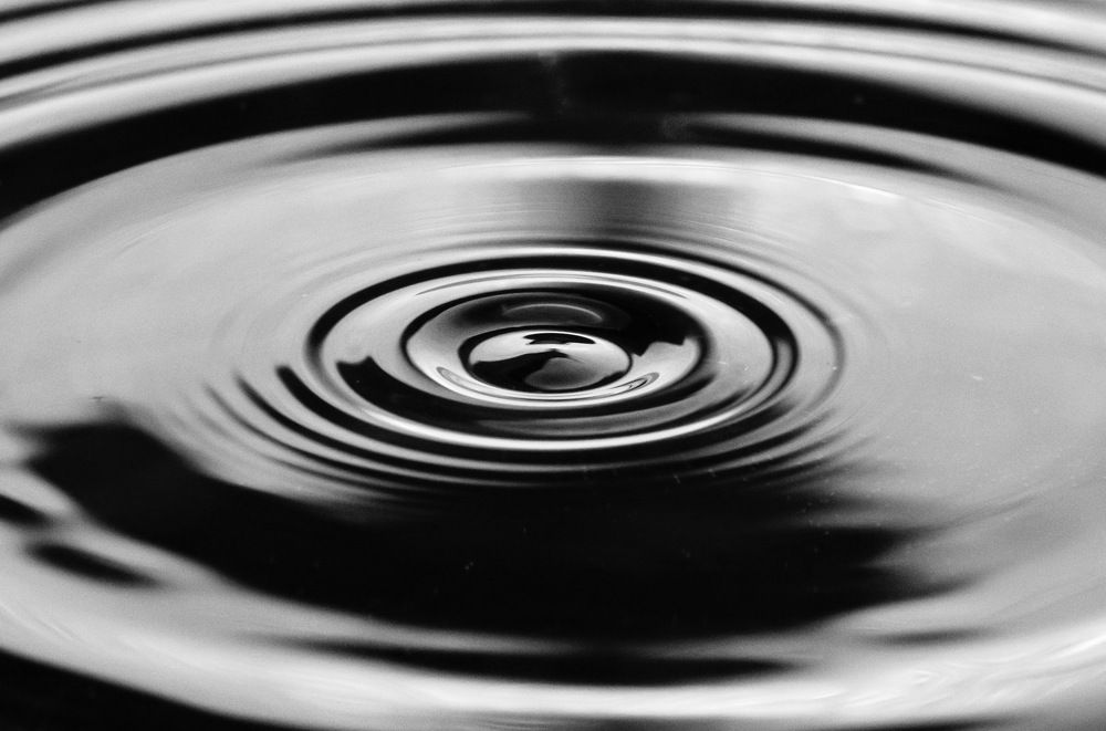 Photograph by Николай Кокшанов