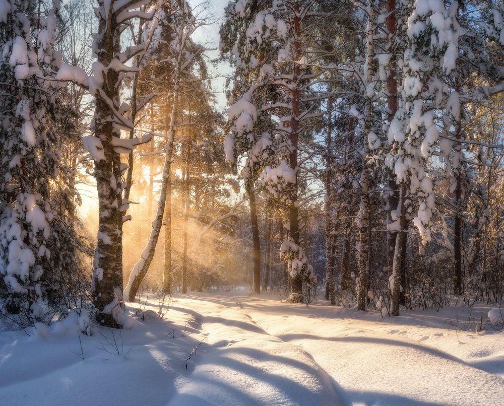Photograph by Максим Сухов