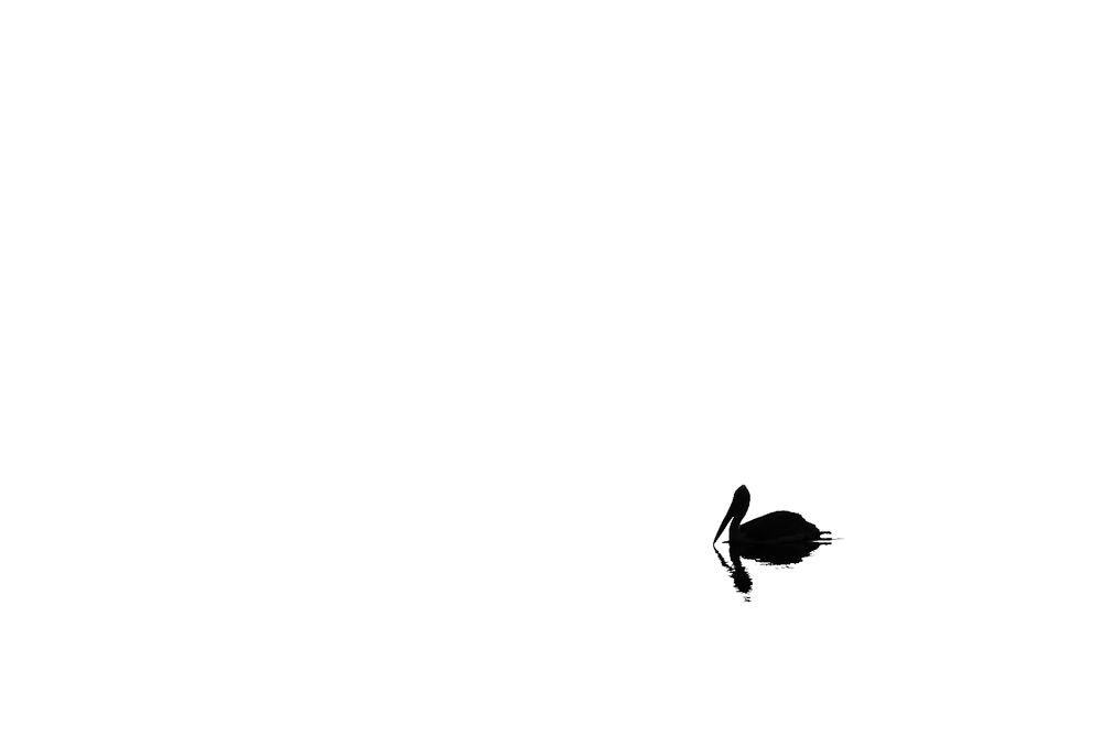 Minimalist with Nature