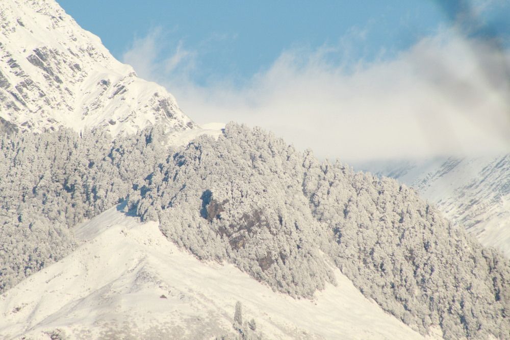 Snow in Manali