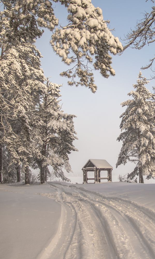 Беседка на берегу.