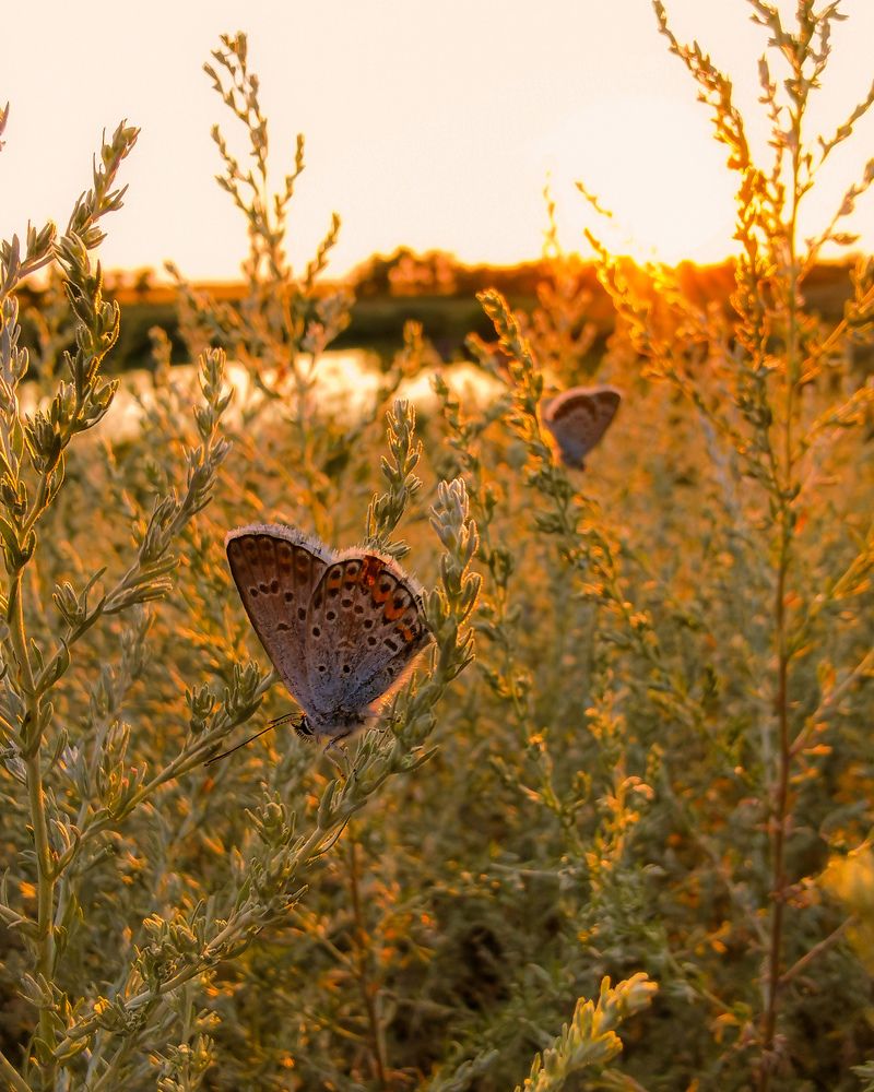 Фотография автора Дмитрий