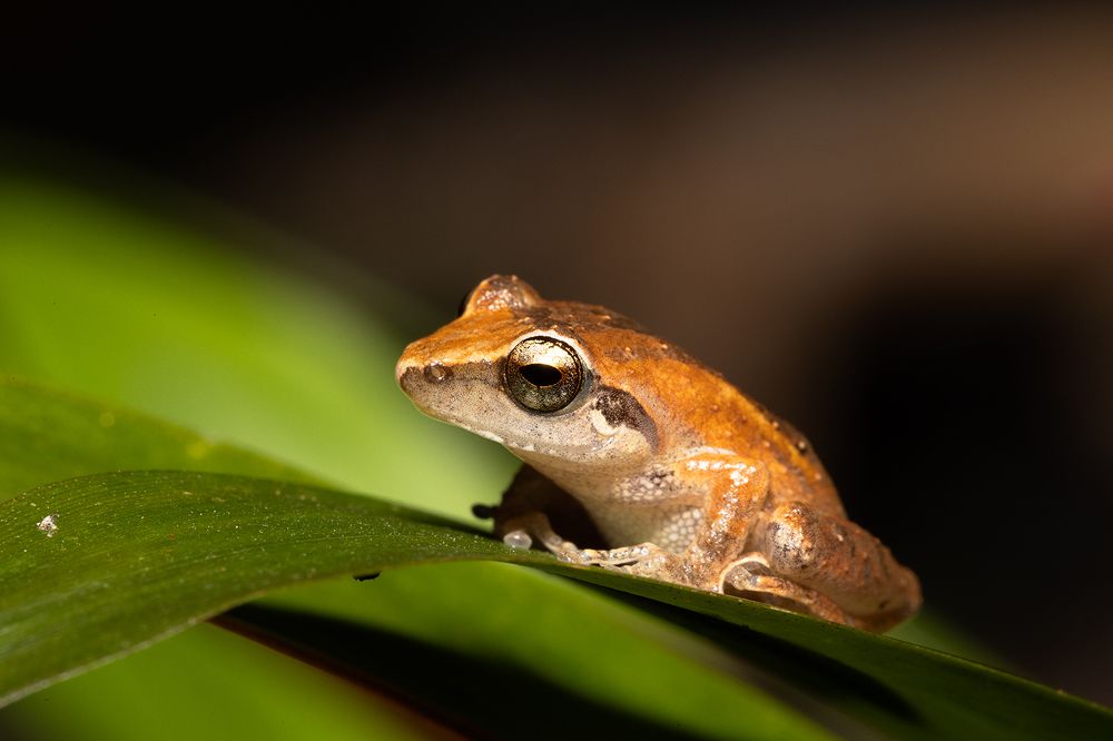 Photograph by vinay abraham mathew