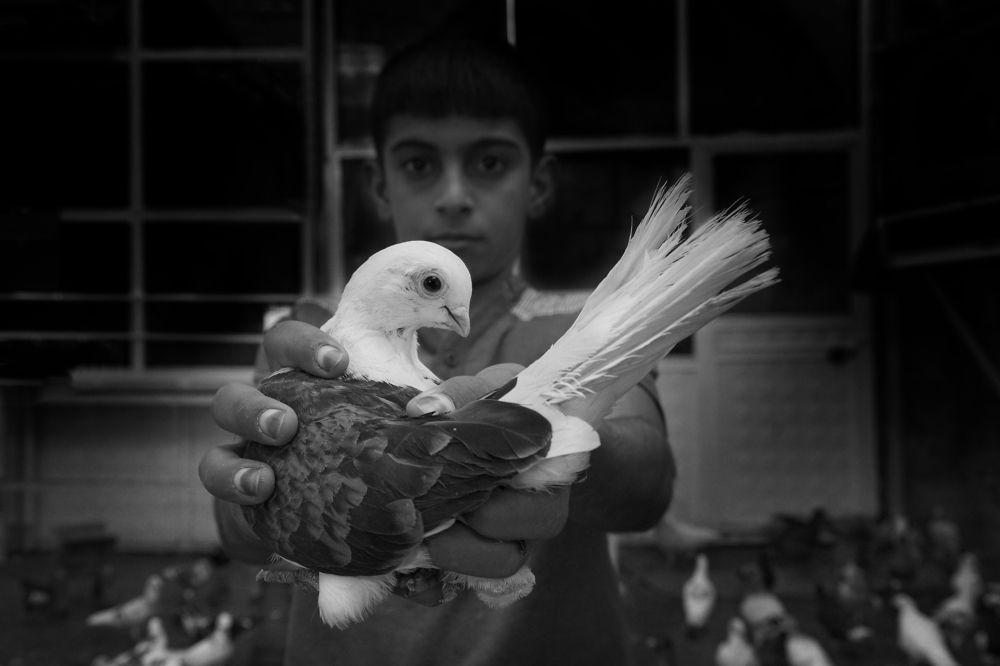 Photograph by Nuket Uluc