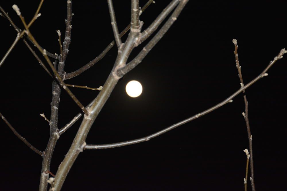 Photograph by Helena Lugowska