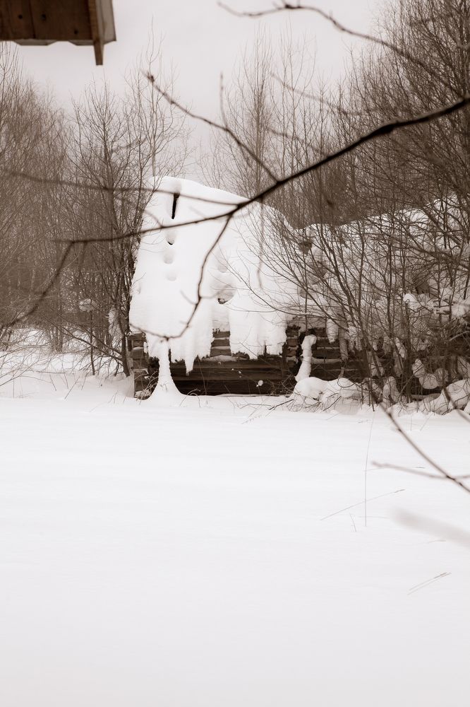 Фотография автора Ольга Малкова