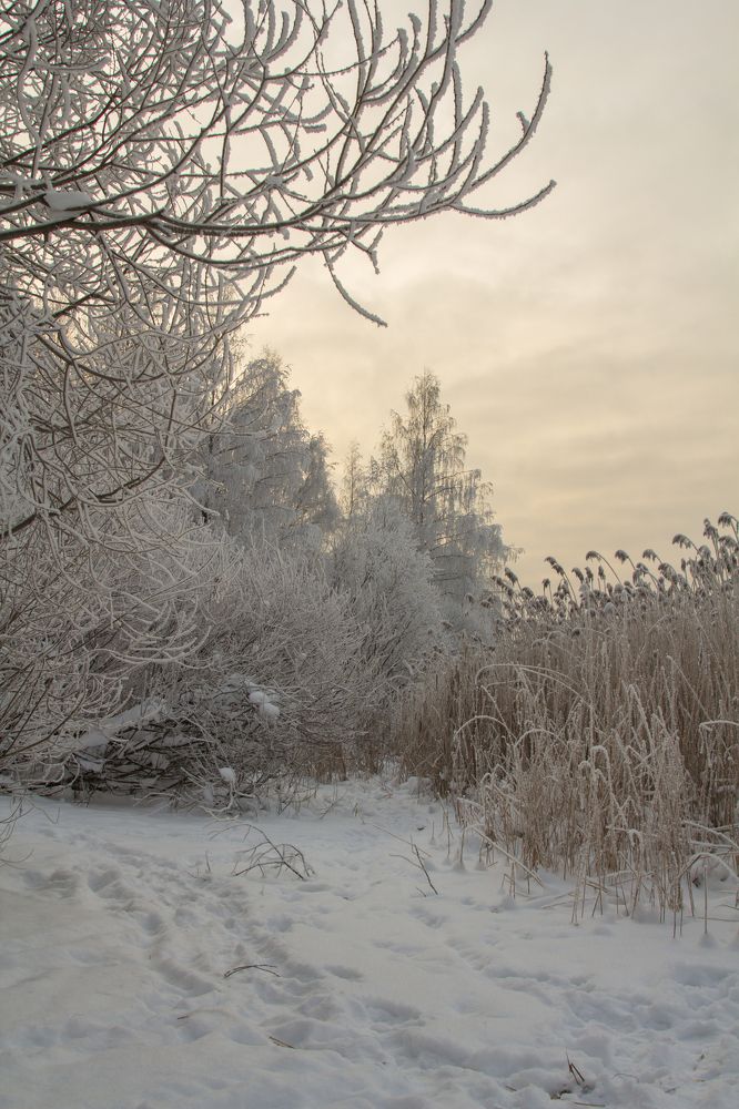 Photograph by Olga Min