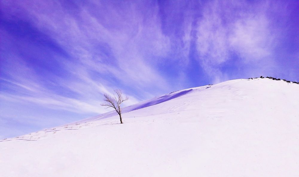 Photograph by ali bakhshi