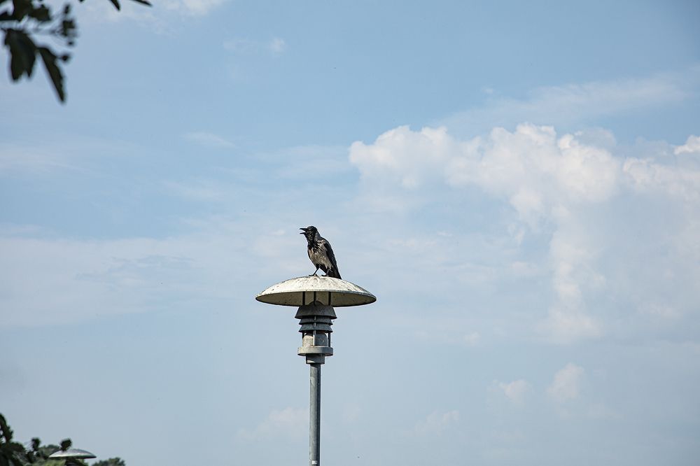 Photograph by kaim merali