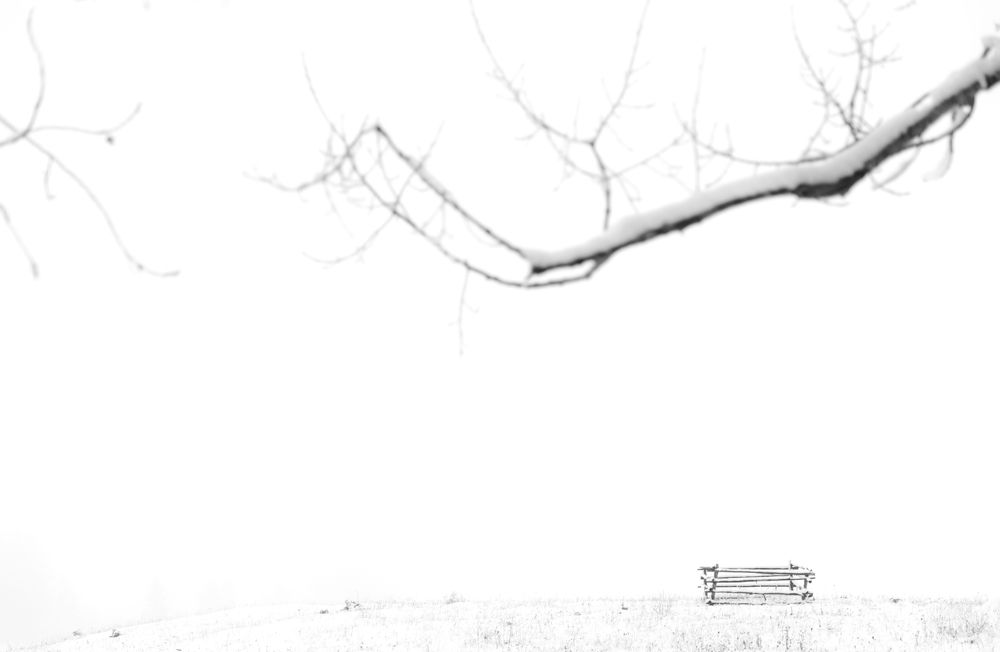 Photograph by TURCZA HUNOR