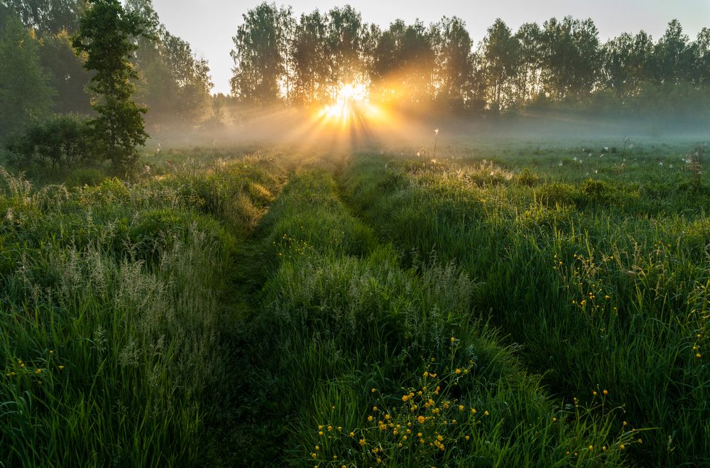 Photograph by Андрей Папанов