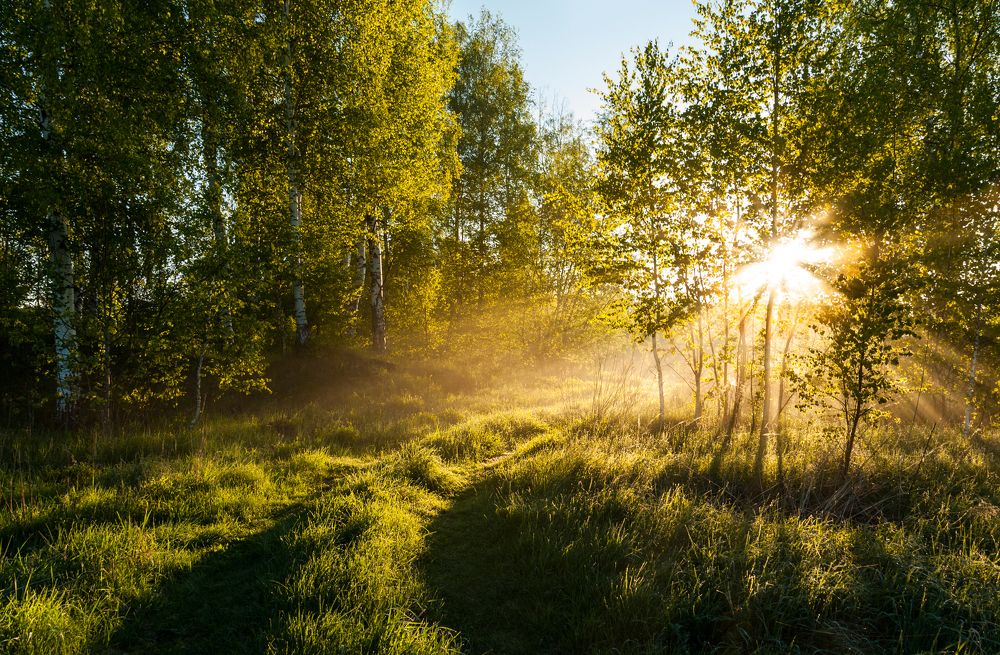Photograph by Андрей Папанов