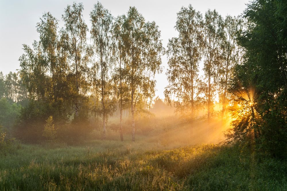 Photograph by Андрей Папанов