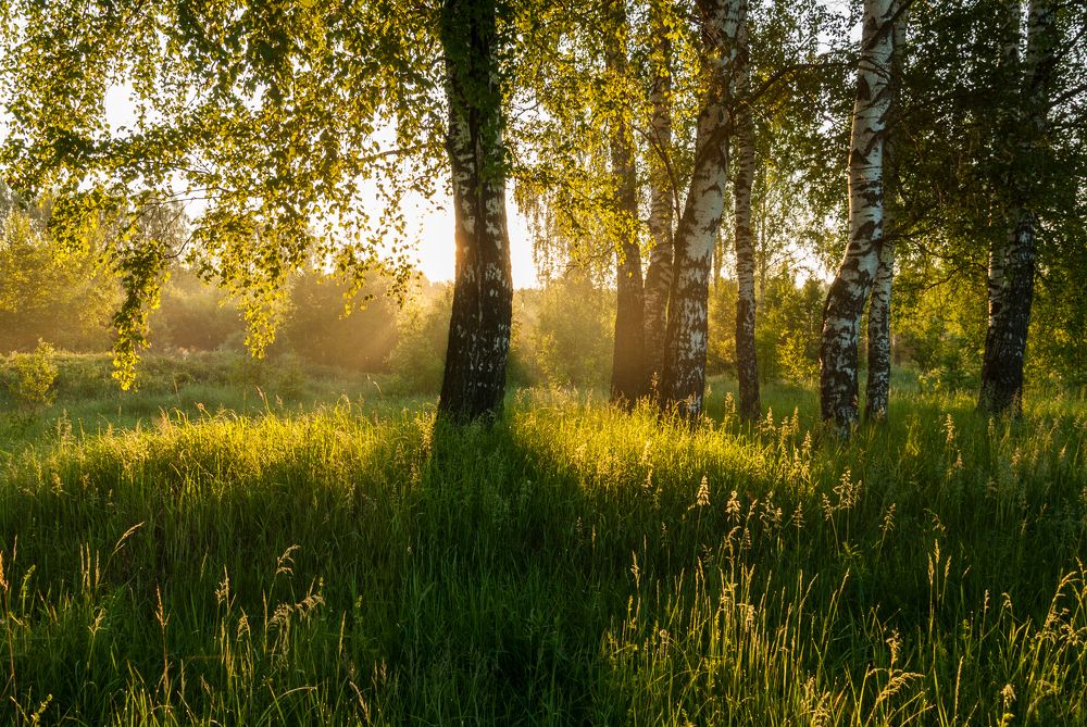 Photograph by Андрей Папанов