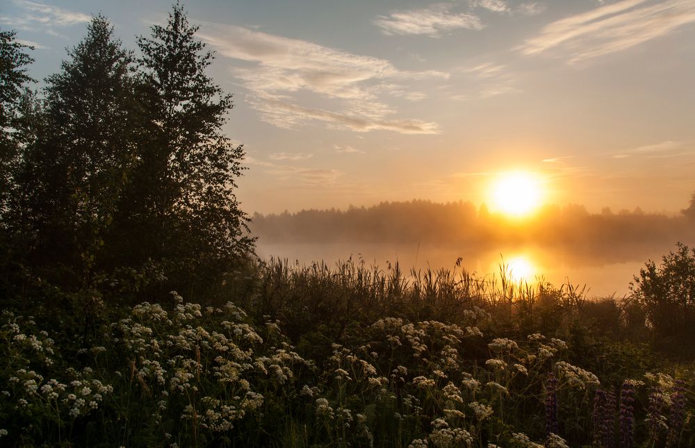 Photograph by Андрей Папанов