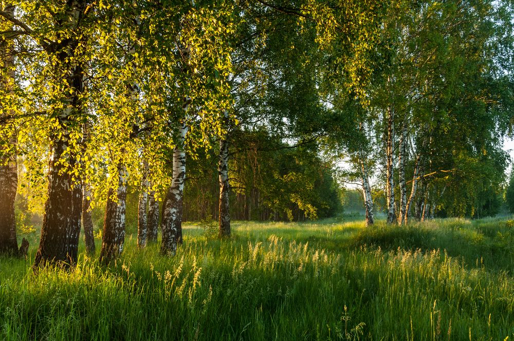 Photograph by Андрей Папанов