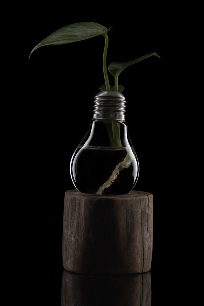 Photograph by Никита