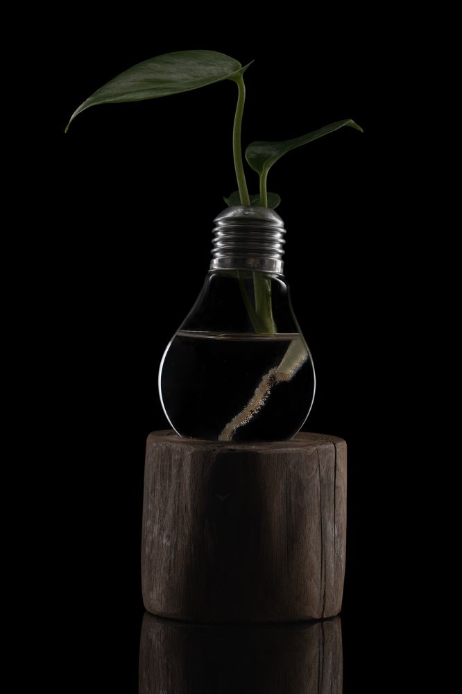 Photograph by Никита