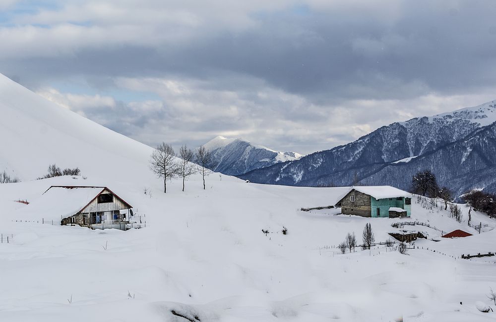 Фотография автора Vakhtangi Janjgava