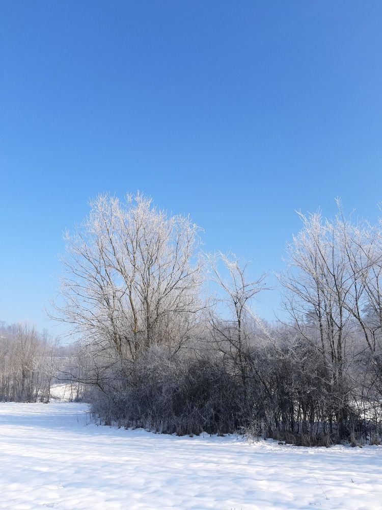 Photograph by Bojana Jovanović