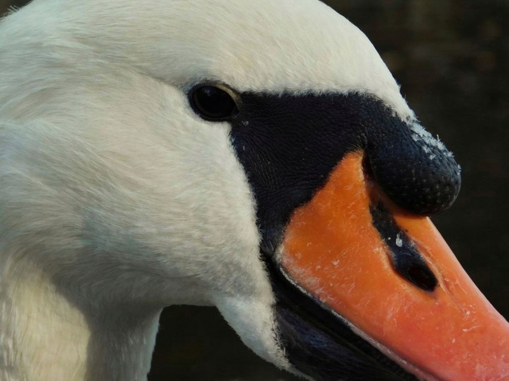 Photograph by Лера