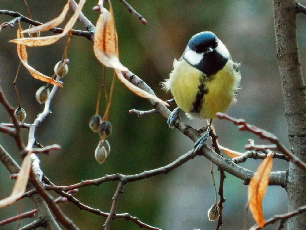 Photograph by Лера