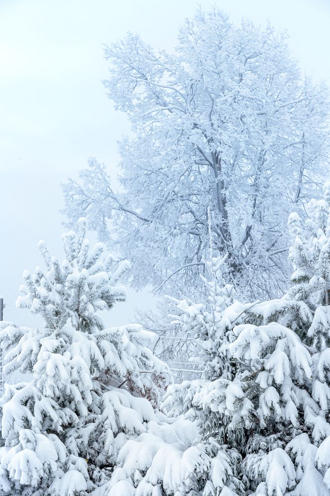 Photograph by Елена Жуковская