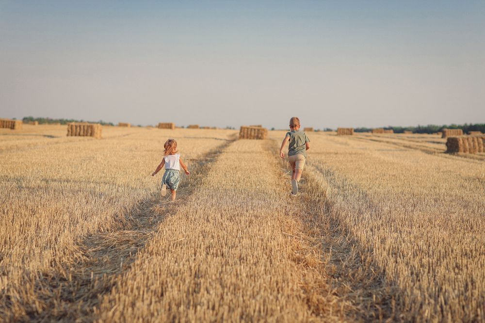 На перегонки