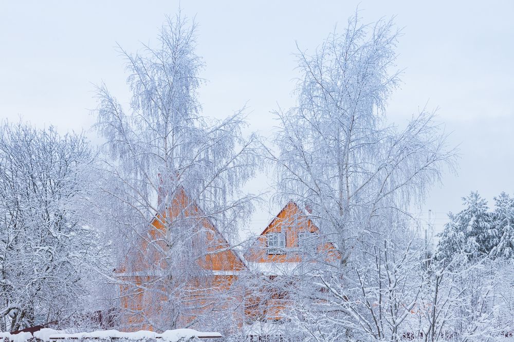 Photograph by Елена Жуковская