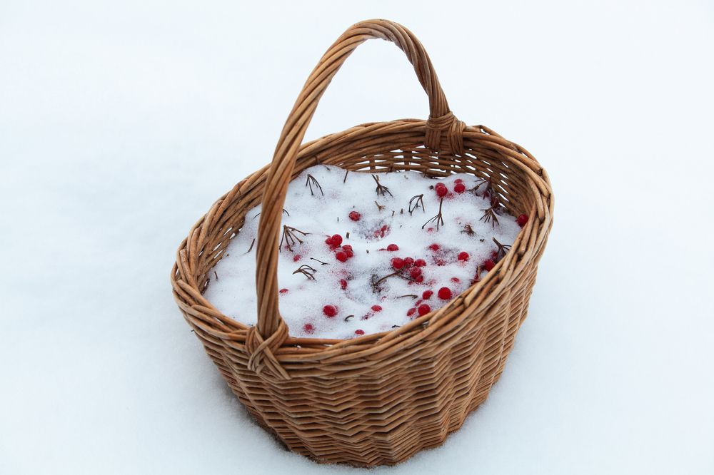 Фотография автора Ольга Малкова