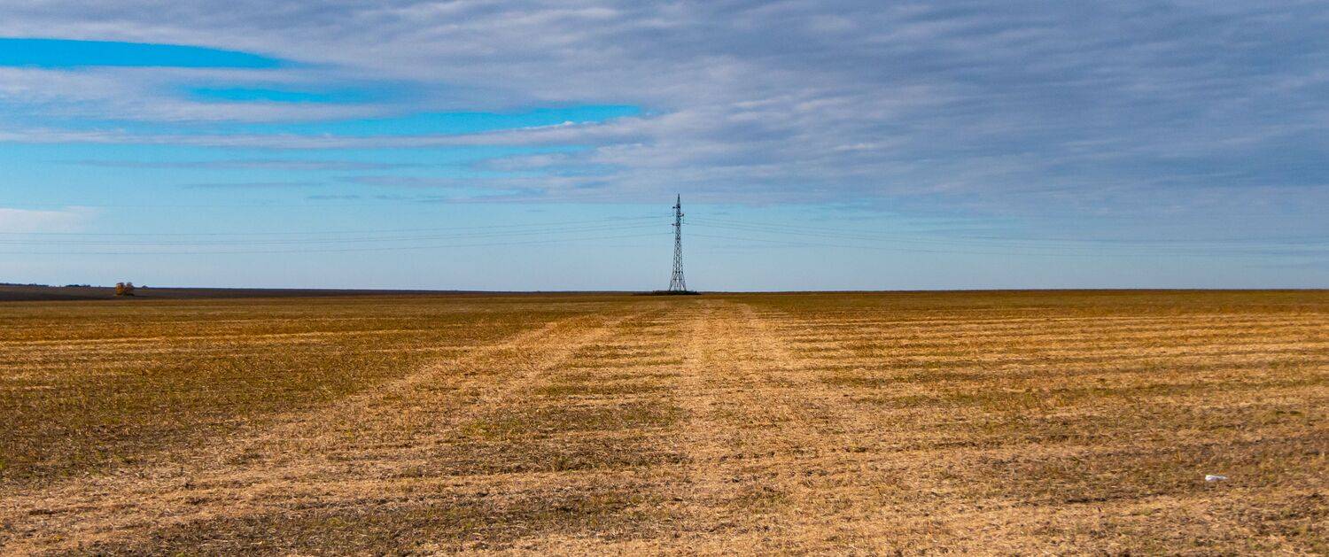 Опоры жизни.