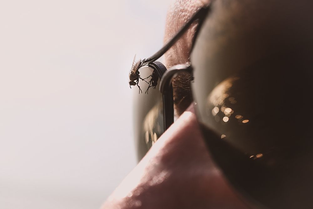 Свидание вслепую