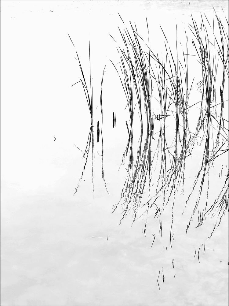 Фотография автора Алёна Герасимова