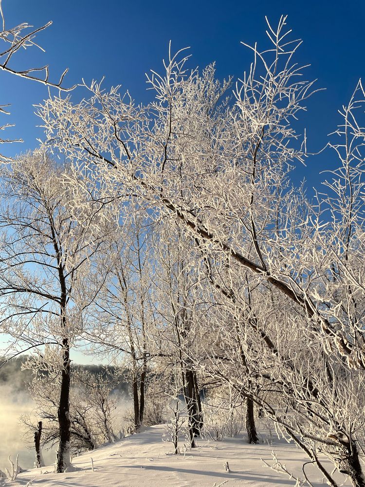 Photograph by Альбина Гильманова