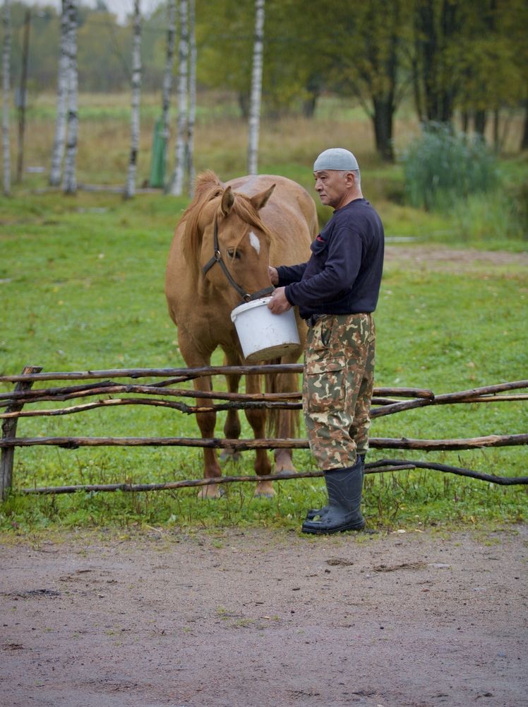 Photograph by Елена Ковалева