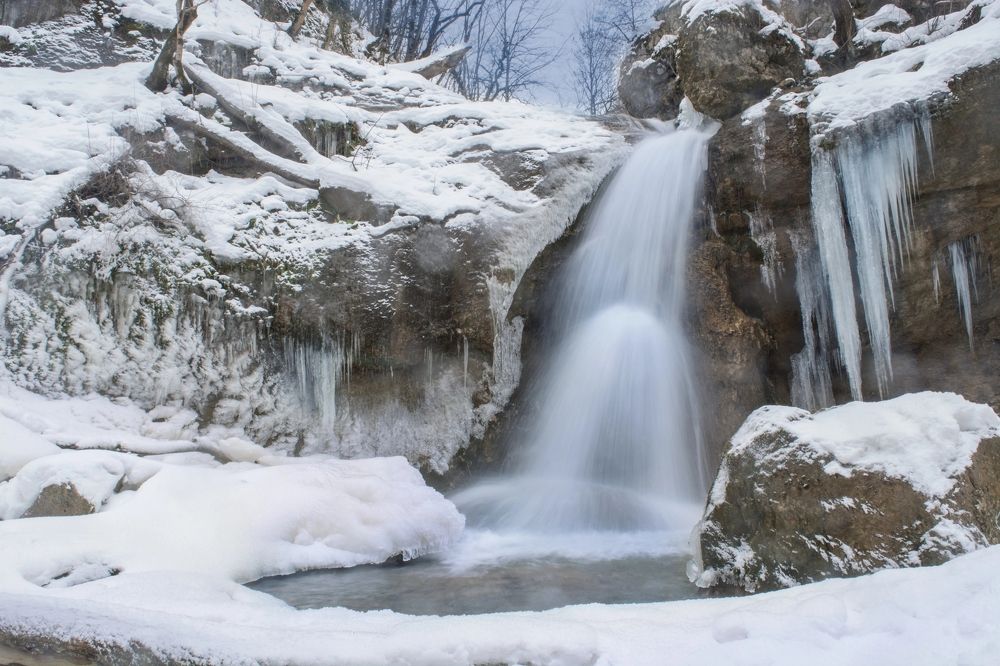 Photograph by Елена Плотникова