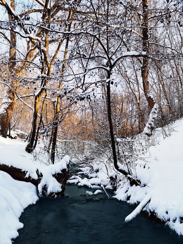 Photograph by Алексей Гуминский