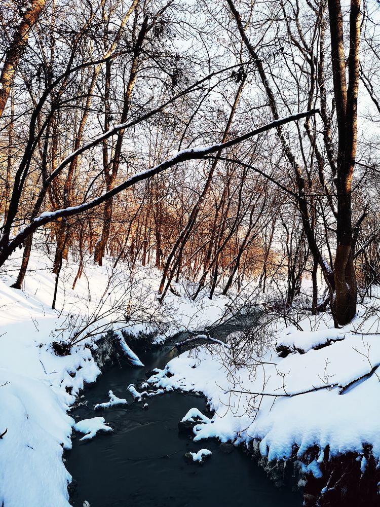 Photograph by Алексей Гуминский